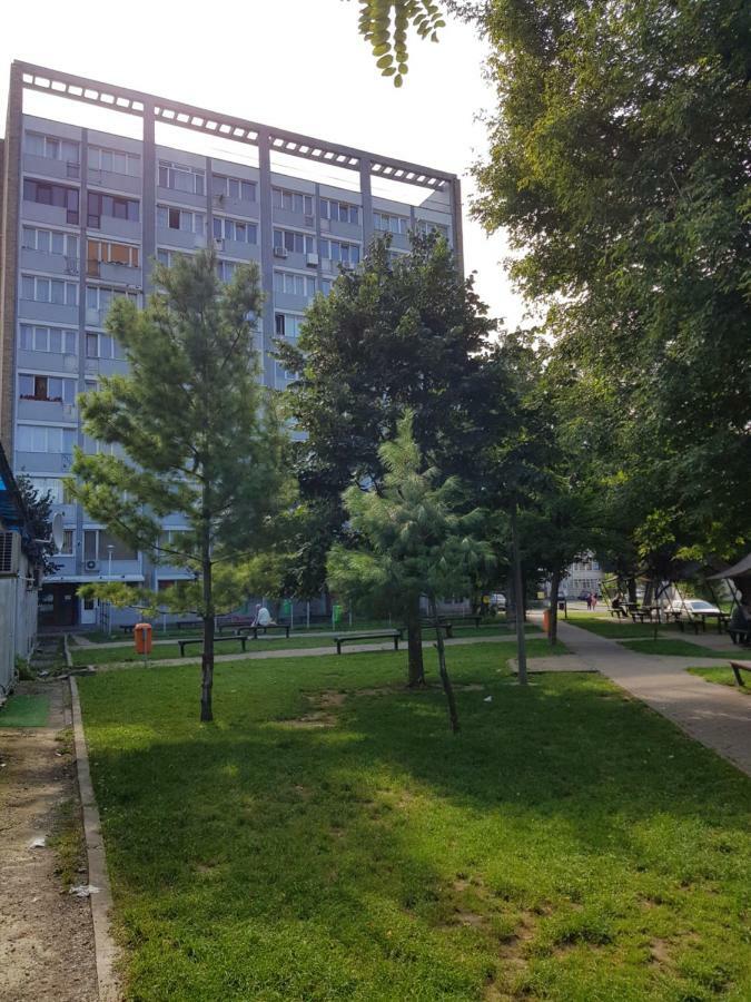 Studio Central Πιάτρα Νέαμτς Εξωτερικό φωτογραφία